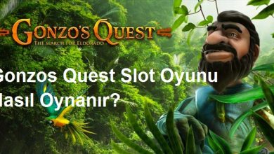 Gonzos Quest Slot Oyunu Nasıl Oynanır?